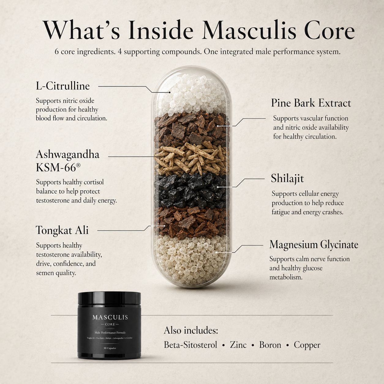 Masculis Core
