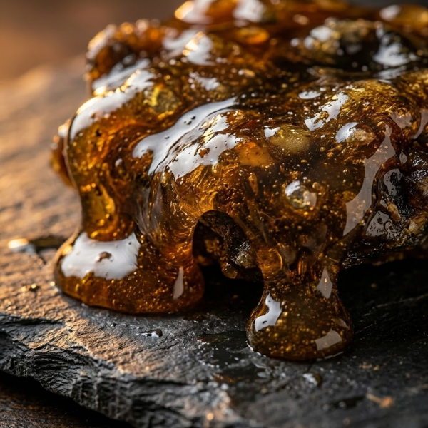 Shilajit 10:1 Extract